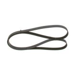 6PK1720 KANALLI V KAYIŞI CHEVROLET; DODGE; FIAT; FORD; JEEP CALİBER 2.0 CRD; CAPTİVA 2.4; CAPTİVA 2. 4 4×4; C OMPASS 2.0 CRD; COMPASS 2.0 CRD 4×4; FOCU (1 AD )