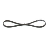 5PK925 KANALLI V KAYIŞI CITROEN; FIAT; HYUNDAI; KIA; MITSUBISHI; PEUGEOT; RENAULT; ROVER; TOYOTA; VW  (VOLKS WAGEN) BORA 2.5; C 25 1.9 DYESEL TURBO; CO (1 AD )