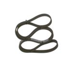 6PK1740 KANALLI V KAYIŞI ALFA ROMEO; AUDI; CITROEN; FIAT; FORD; HYUNDAI; LANCIA; MAZDA; PEUGEOT; SEA T; SKODA ; SUZUKI; VW (VOLKSWAGEN) 121 1.3 Y; 121 (1 AD )