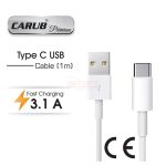 CARUB ŞARZ KABLOSU USB TYPE C  1MT (1 AD )