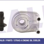 YAĞ SOĞUTUCU FIAT DOBLO/PALIO/PUNTO/STRAD A AL / PL / BRZ (1 AD )