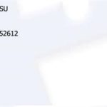 SİGORTA KUTUSU RENAULT R9 7702252612 (1 AD )